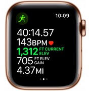 Apple Watch Series 5 Gold